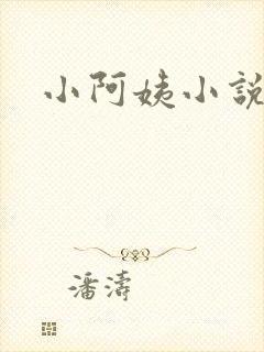小阿姨小说