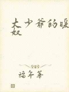 大少爷的暖床小奴