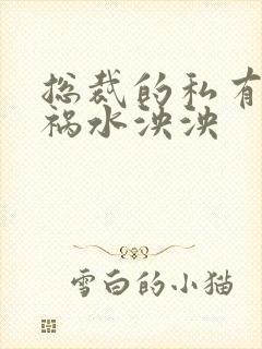 总裁的私有宝贝祸水泱泱