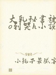 大乳秘书被cao到哭h小说