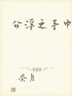 公浮之手中字5