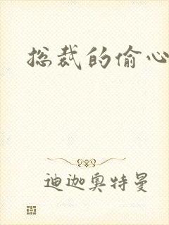 总裁的偷心娇妻