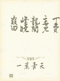 巅峰龙主丁长顺田晓兰免费阅读封面