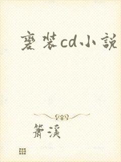 变装cd小说
