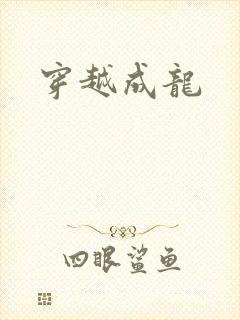 穿越成龙