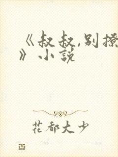 《叔叔,别撩我》小说