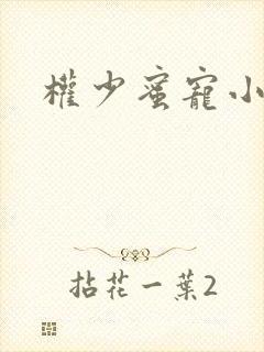 权少蜜宠小娇妻