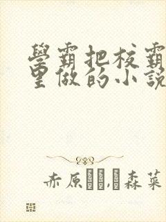 学霸把校霸往死里做的小说