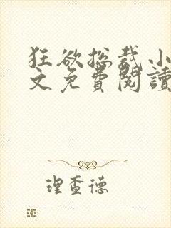 狂欲总裁小说全文免费阅读