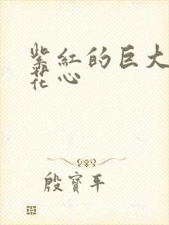 紫红的巨大顶开花心