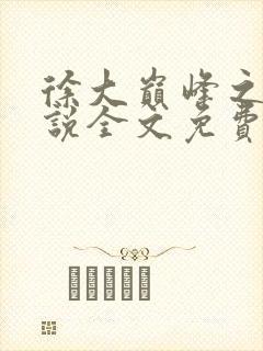 徐大巅峰之路小说全文免费阅读