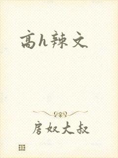 高h辣文