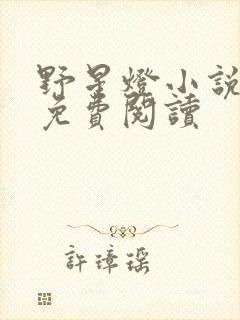 野星灯小说全文免费阅读