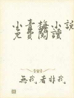 小青梅小说全文免费阅读