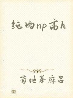 纯肉np高h