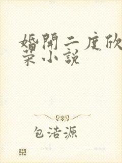 婚开二度欣欣向荣小说