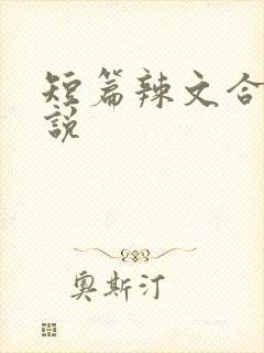短篇辣文合集小说