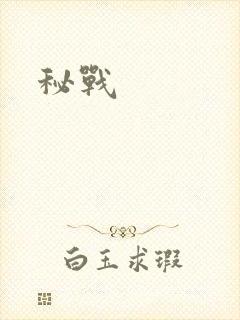 秘战