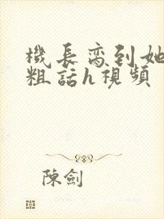 机长脔到她哭h粗话h视频