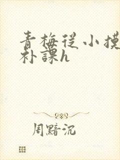 青梅从小摸到大补课h