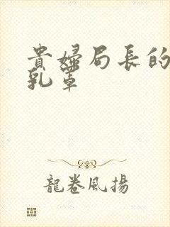 贵妇局长的蕾丝乳罩