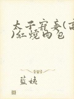 太子宠妾(高肉)红烧肉包