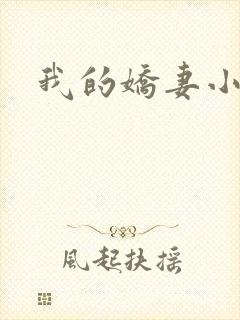 我的娇妻小说