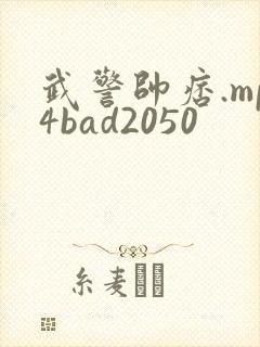 武警帅痞.mp4bad2050
