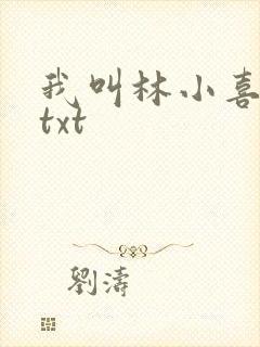 我叫林小喜小说txt