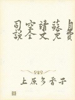 司空靖苏月汐小说全文免费阅读