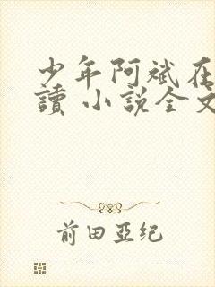 少年阿斌在线阅读 小说全文免费