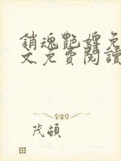 销魂艳婢免费全文免费阅读