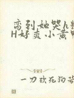 脔到她哭h粗话H好爽小黄鸭视频