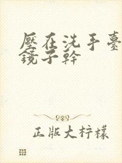 压在洗手台看着镜子干