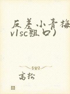 反差小青梅(1v1sc粗口)