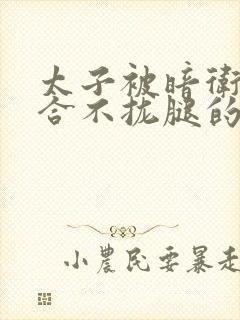 太子被暗卫c到合不拢腿的后果