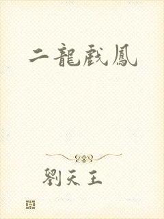 二龙戏凤