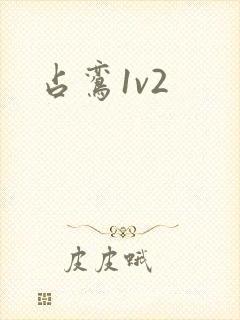 占鸾1v2