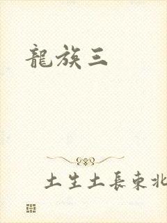 龙族三