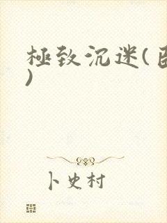 极致沉迷(臣年)