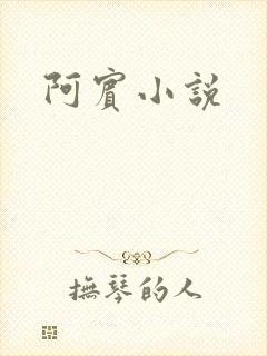 阿宾小说