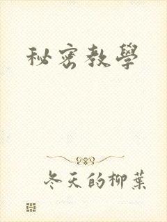 秘密教学
