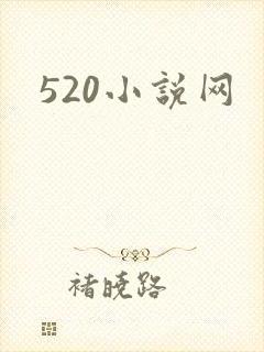 520小说网