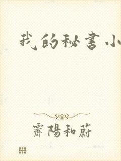 我的秘书小姐