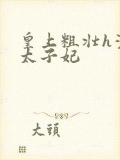 皇上粗壮h灌满太子妃