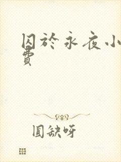 囚于永夜小说免费