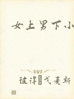 女上男下小说