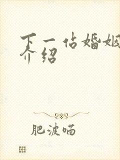 下一站婚姻剧情介绍