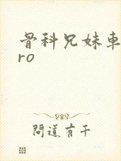 骨科兄妹车多pro