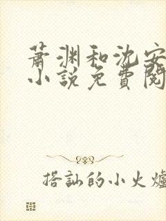 萧渊和沈安安的小说免费阅读